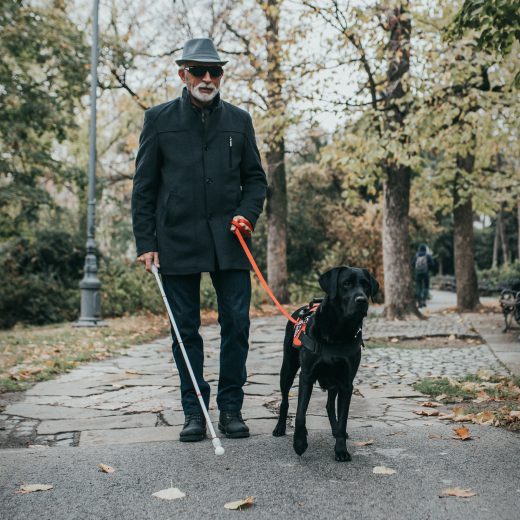 Blind man walking a dog using a cane.